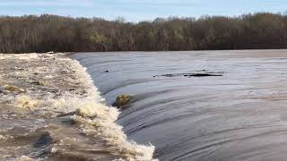 Demopolis Lock and Dam Flood [upl. by Rolyak562]