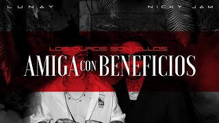 LOS DUROS SON ELLOS Lunay Nicky Jam  AMIGA CON BENEFICIOS Official Video [upl. by Shutz766]