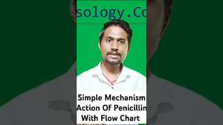 Mechanism Action Of Beta Lactam Antibiotics In pharmocolog For Bsc Nursing 4th Semester nursing [upl. by Heimer]