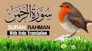 Surah Rahman Urdu Tarjuma k Sath  Qari Al Sheikh Abdul Basit Abdul Samad  Quran Karim  Recitation [upl. by Annat]