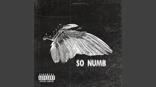 So Numb [upl. by Knuth]