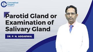 Parotid Gland or Examination of Salivary Gland by Dr P N Aggarwal [upl. by Enaffit]