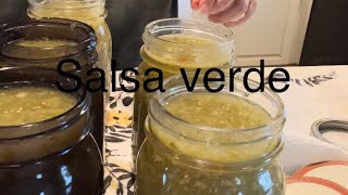 Green Salsa Verde Sauce [upl. by Aroled]