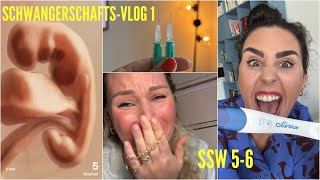 SchwangerschaftsVlog 1  Woche 56 ab dem Ergebnis [upl. by Dennis]