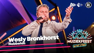 Wesly Bronkhorst  Hobbelen LIVE • Muziekfeest op het Plein 2024  Sterren NL [upl. by Kali]