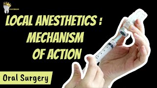 Mechanism of action of LOCAL ANESTHETICS  Theories of Local Anesthesia [upl. by Amalee]