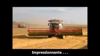 CLAAS Lexion 780  770 TT  PERARD  SCANIA  2nde partie [upl. by Leuqer]