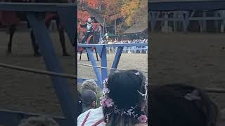 Jousting at King Richard’s Faire [upl. by Manville514]