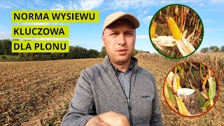 Znaczenie normy wysiewu w kukurydzy  Doświadczenie Density Syngenta [upl. by Ayahs]