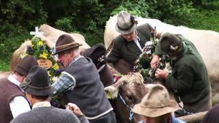 Pfronten Urlaub im Allgäu und der Viehscheid [upl. by Ahsinej]