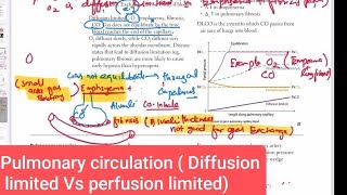 Pulmonary circulation  Diffusion limited Vs perfusion limited Respiratory system 28 [upl. by Anu575]