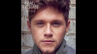 Niall Horan Seeing Blind ft Maren Morris Lyrics Audio [upl. by Adnuhser]