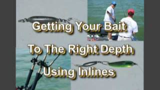 Walleye101 Inline Weights Explained [upl. by Okiram637]