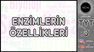 7 Enzimlerin Özellikleri [upl. by Notseh]