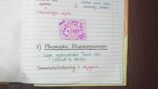 Rhabdomyosarcoma Pathology [upl. by Saxon]