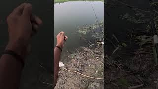 Mini rod fishing videospocket rod fishinghook fishing [upl. by Garvy]