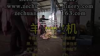 Fully Automatic Mechanize Mutton Slaughterhouse Sheep Peeling Slaughtering Equipment [upl. by Redan]