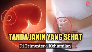 Tanda Janin Sehat di Trimester Pertama Kehamilan [upl. by Silevi91]