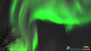 Northern Lights in Abisko Sweden [upl. by Enyrhtak]