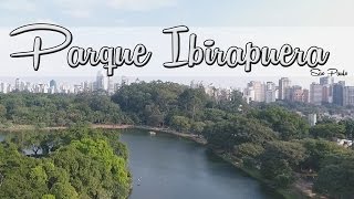 Aprendendo Voar Drone Parque do Ibirapuera [upl. by Koblas933]