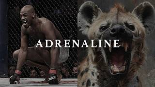 ADRENALINE  Best Motivational Speeches [upl. by Illoh]