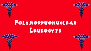 Pronounce Medical Words ― Polymorphonuclear Leukocyte [upl. by Kcinomod]