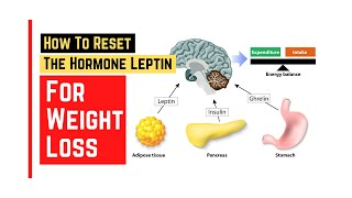 How to reset leptin hormone for weight loss  Veronica Yoo nutritionist FMCHC CFS [upl. by Reilamag]