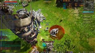 BDO Corsair Awakening 248 AP Miru fastest Loop combo testing [upl. by Mount984]