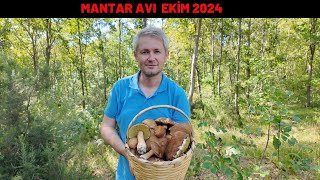 Trakyada Mantar Avı EKİM 2024 [upl. by Eilis325]