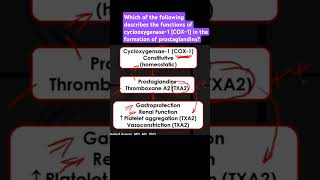 Describe the functions of cyclooxygenase1 COX1 in the formation of prostaglandins [upl. by Dario]