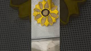 Sunflower Sugar Cookie cookiedecoratingvideos baking cookies royalicing [upl. by Gerbold]