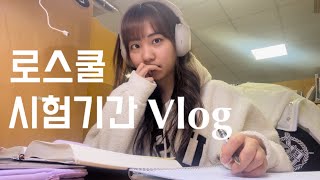 로스쿨생 vlog  ✏️서울대 로스쿨 기말고사 브이로그🔥  종강하고 크리스마스 준비하는 일상🎄❤️ [upl. by Ahtanamas]