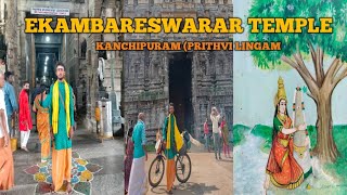 3500 YEAR 0LD MANGO TREE EKAMBARESWARAR TEMPLE PRITHVI LINGAM TEMPLE [upl. by Johnstone]