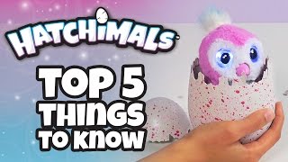 Hatchimals  Top 5 Things You Need To Know About Hatchimals [upl. by Epuladaugairam]