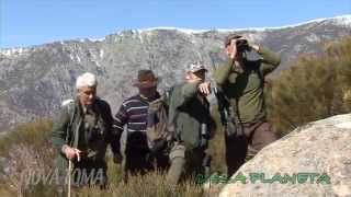 Machos en la sierra de Gredos [upl. by Eigla]