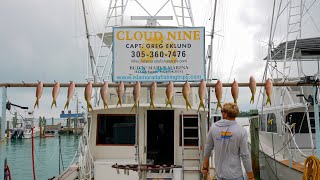 Huge Yellowtail Snapper  January Fishing Report [upl. by Litt954]