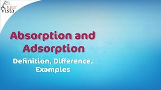 Absorption and Adsorption  Definition Difference Examples [upl. by Eanahs124]