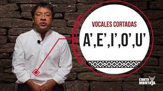 Aprendiendo y conociendo el zapoteco Las vocales del Diidxazá [upl. by Olivie]