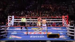 Saul Canelo Alvarez vs Alfonso Gomez [upl. by Laeira]