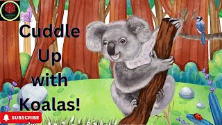 Koala Cuddle Time A Calm and Cozy Adventure [upl. by Thekla]