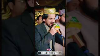 Daroodo Salam trendingshorts viralshorts shortsfeed nabeelchishti naat [upl. by Crenshaw401]