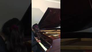 Amaranthe  Amaranthine Piano Cover [upl. by Bussey398]