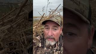 Weather report from the blind duckseason duckhunting waterfowlhunting hunting ducks geese [upl. by Kylah]