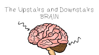 Upstairs Brain Downstairs Brain  SEL Sketches [upl. by Laban]