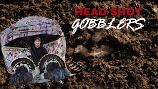 Bowhunting Gobblers in Montana CRAZY HEAD SHOT AT 5 STEPS [upl. by Leiruh387]