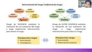 VALORACION DE RIESGO EN VIOLENCIA [upl. by Inat433]