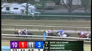 2013 Gotham Stakes  Vyjack [upl. by Sidwell]