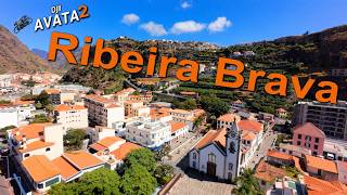 Ribeira Brava  Madeira Island Portugal Stunning Drone Footage  DJI Avata 2 [upl. by Elbertina913]