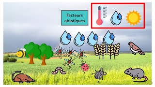 Facteurs abiotiques [upl. by Hodgson]