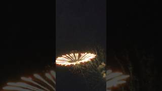 Fireworks festivals in Japanfireworks shorts shortsfeed viralshorts [upl. by Aryan]